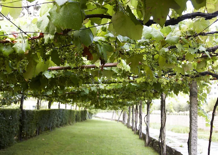 Balneario Acuna Hotell 2*